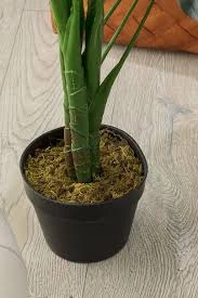 Məhsul