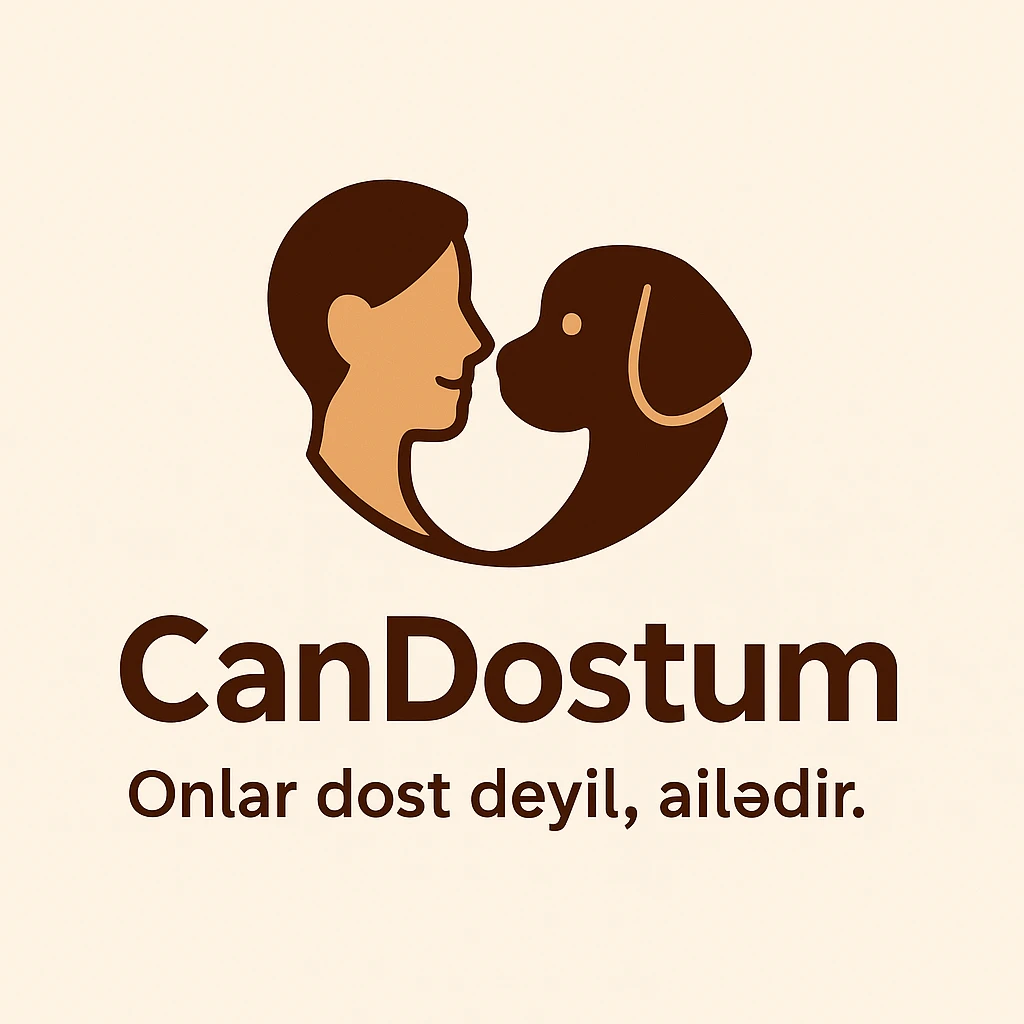 Mağaza