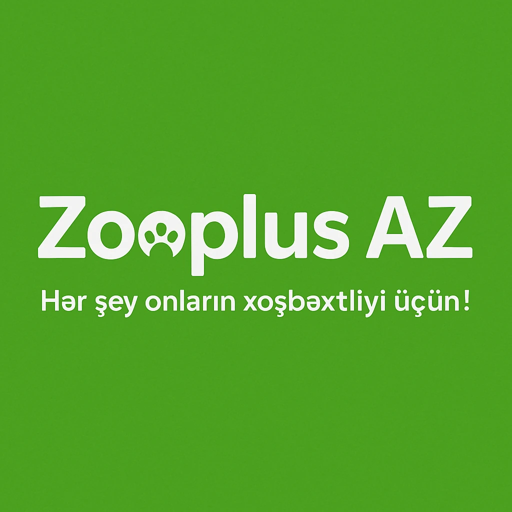 Mağaza