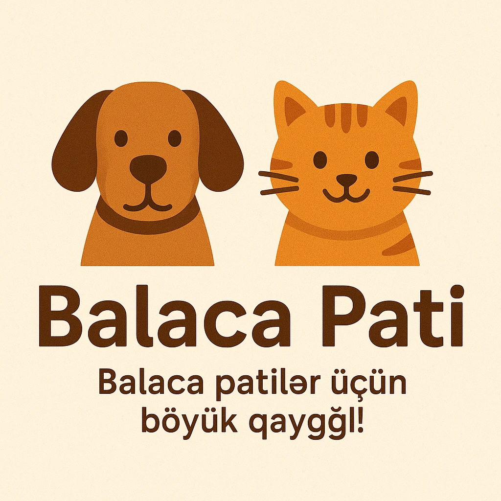 Mağaza